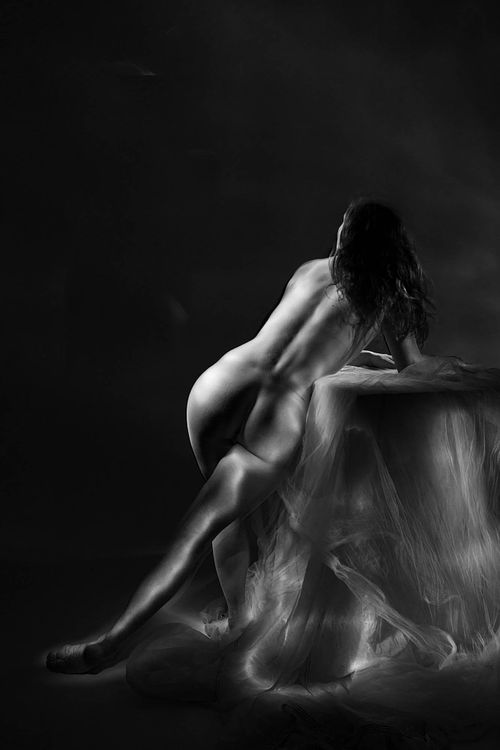 Artistic Silhouette