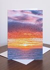 Brighton Starling Murmuration Greeting Cards (6 pack)