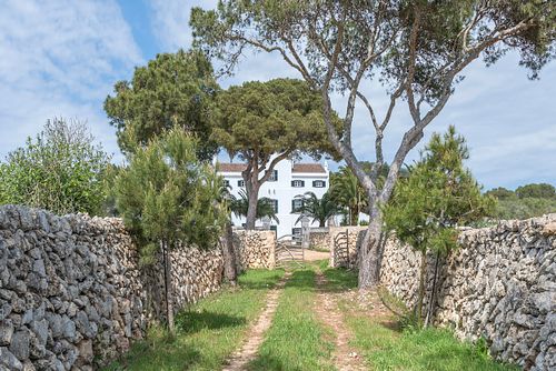 minorque santa ponca, finca minorque, agrotourisme minorque, mur pierre sèche, pins parasols, entrée finca, photographie architecture extérieure, nicolas karadimos, menorca, finca menorca