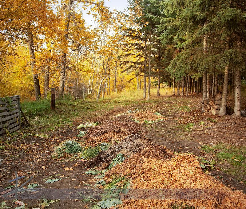 The benefits of compost | Kross Farm