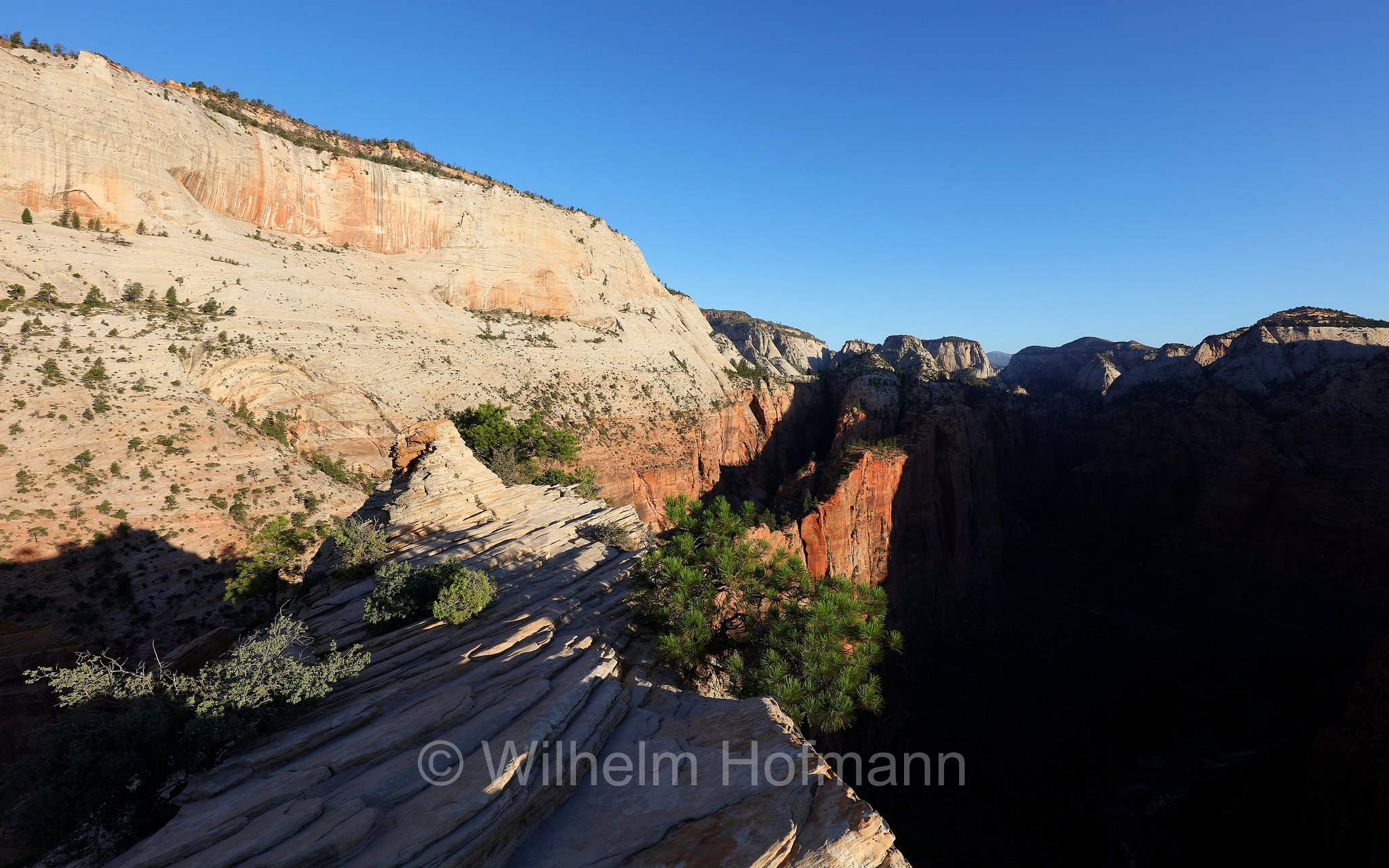 Top of Angel's Landing, Zion National Park, Zion-Nationalpark, Parco nazionale di Zion, Utah, USA