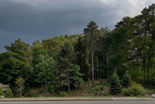 1586 County Road 39