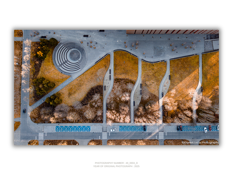 THE ONE - LINES & SHAPES - "The Park Layout" - LIMITED EDITION 5 of 5