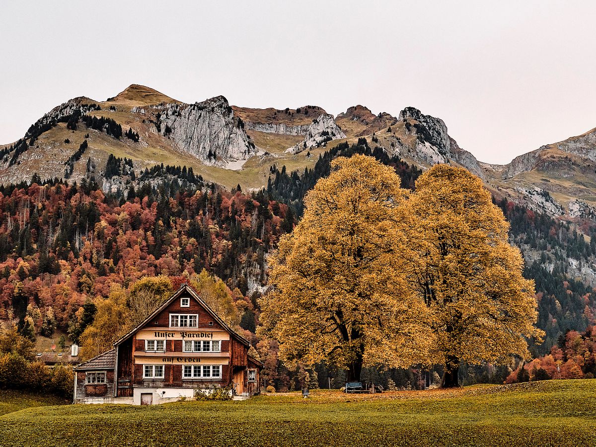 Unser Paradis auf Erden