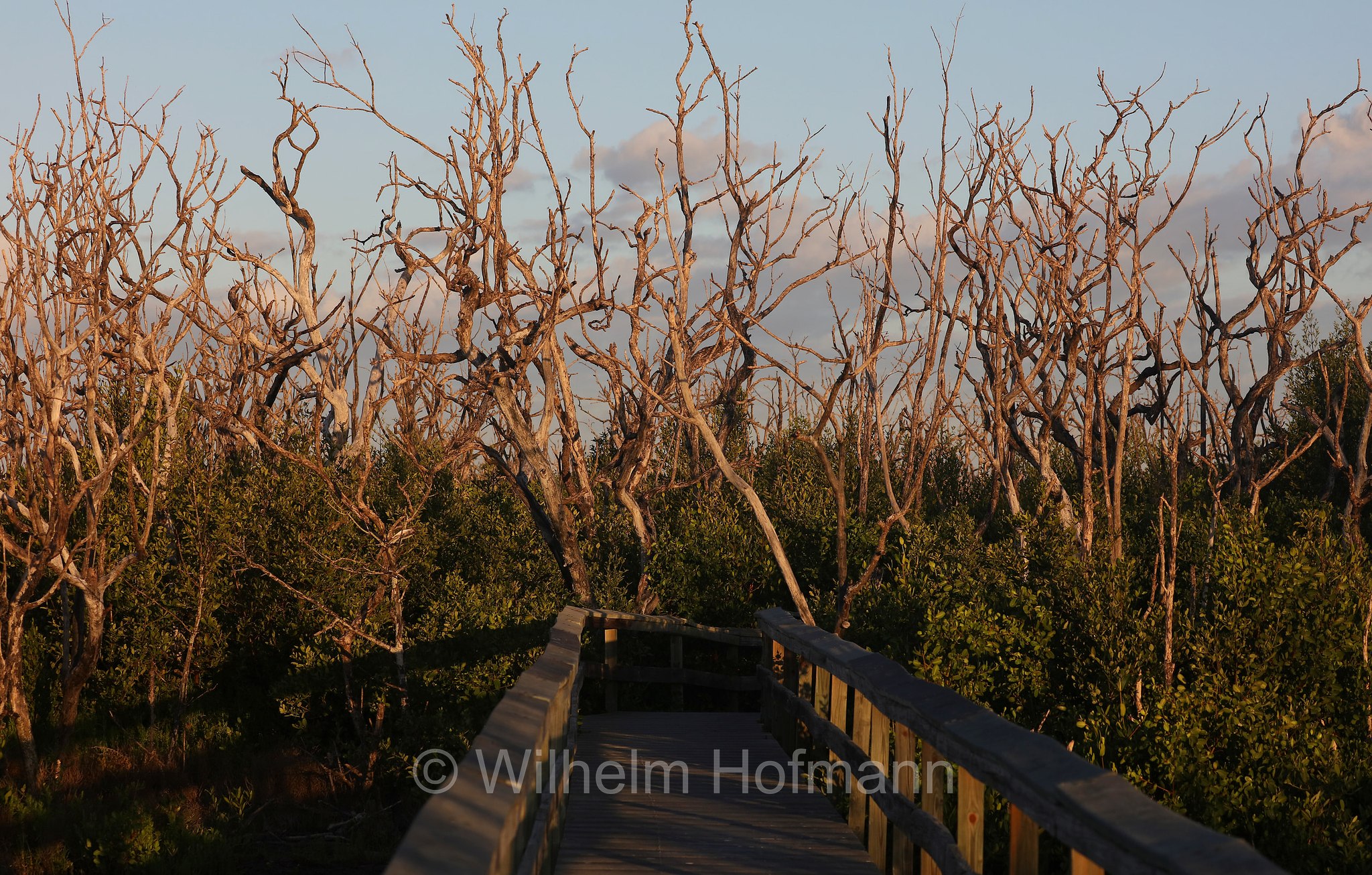 Snake Bight, Everglades National Park, Everglades-Nationalpark, Parco nazionale delle Everglades, Florida, USA