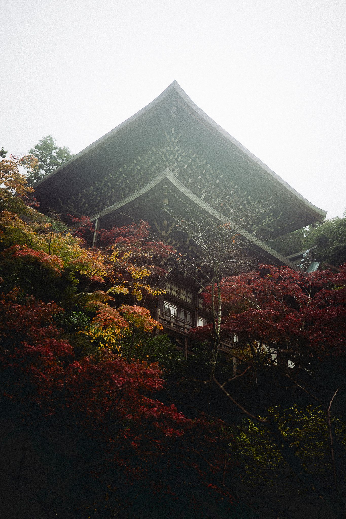 Pavillon niché dans les érables rouges, Miyajima