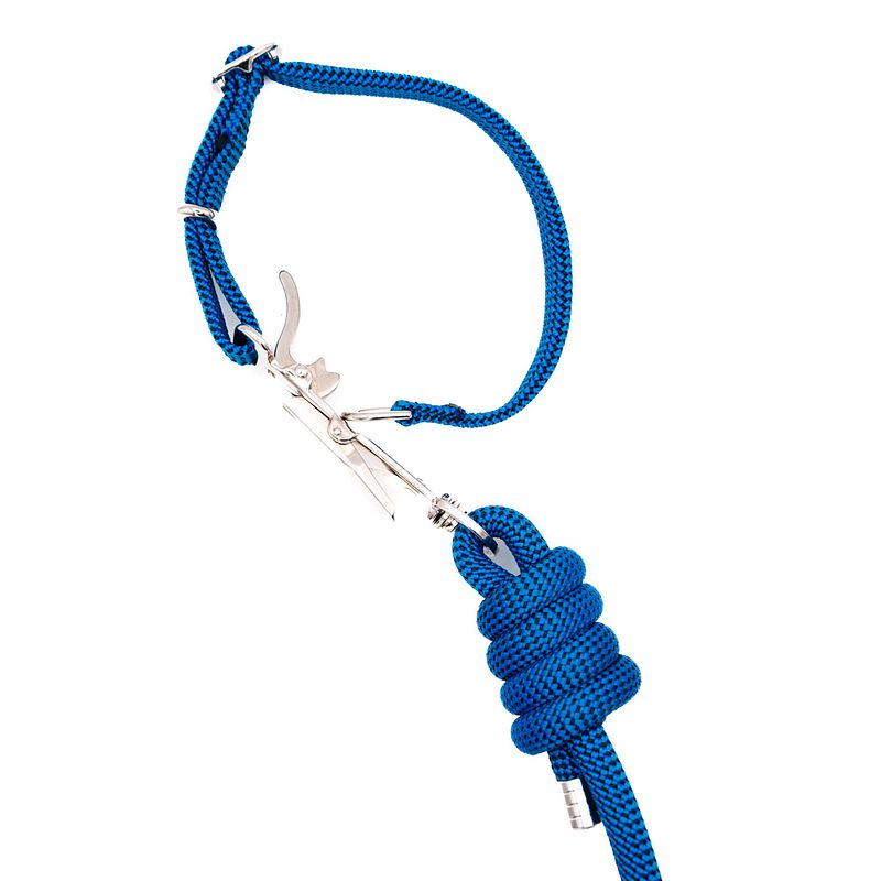 SwiftRelease™ Agility Lead + Collar - Buzzworthy Blue