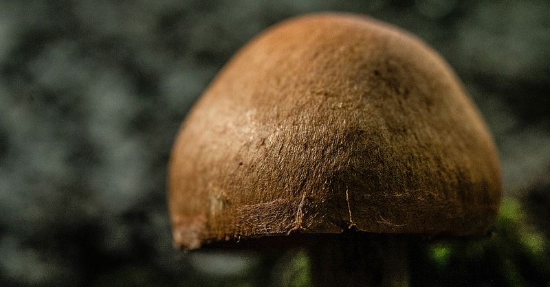 What's the Smallest Thing Worth Photographing?
