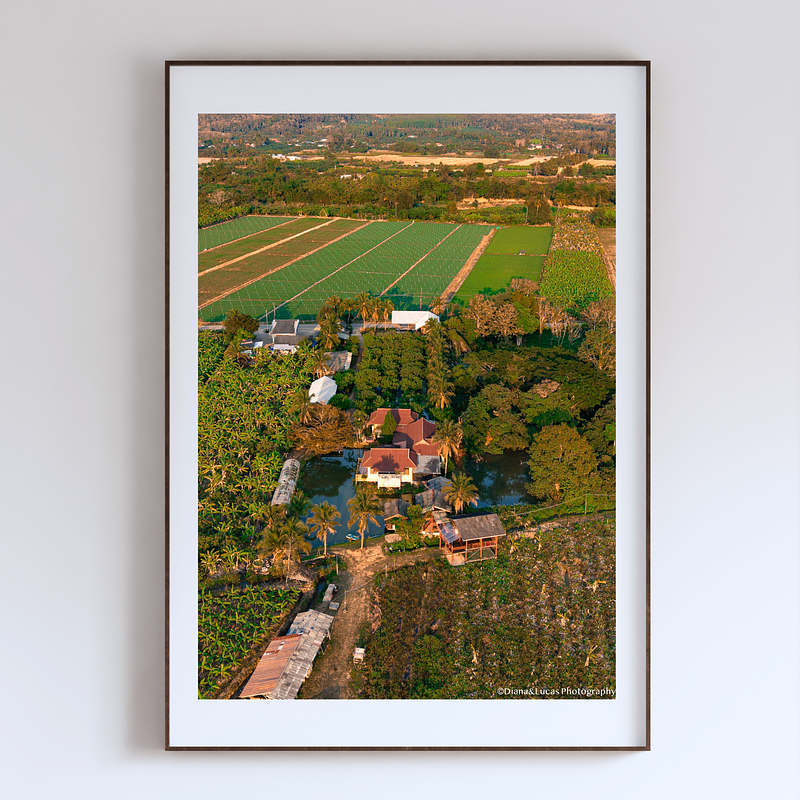 COLLECTION - FROM ABOVE VERTICAL - "The Farm Between Fields" - LIMITED EDITION 10 of 10