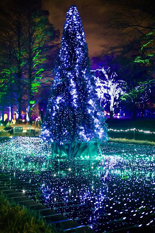 Missouri Botanical Garden