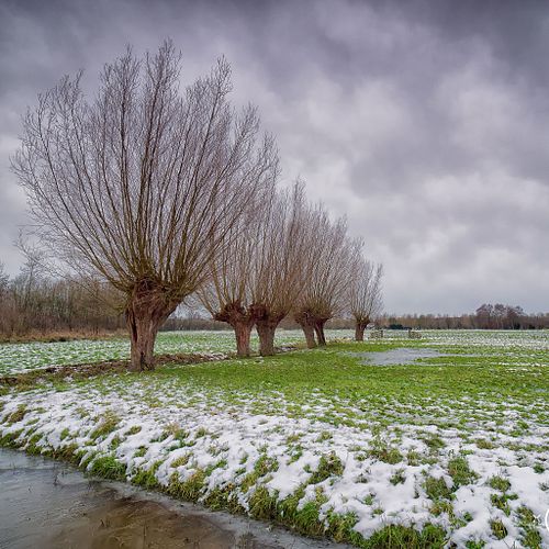 Landscapes