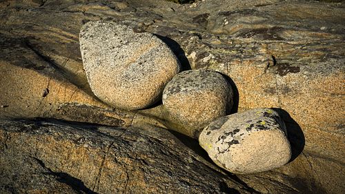Verdens Ende