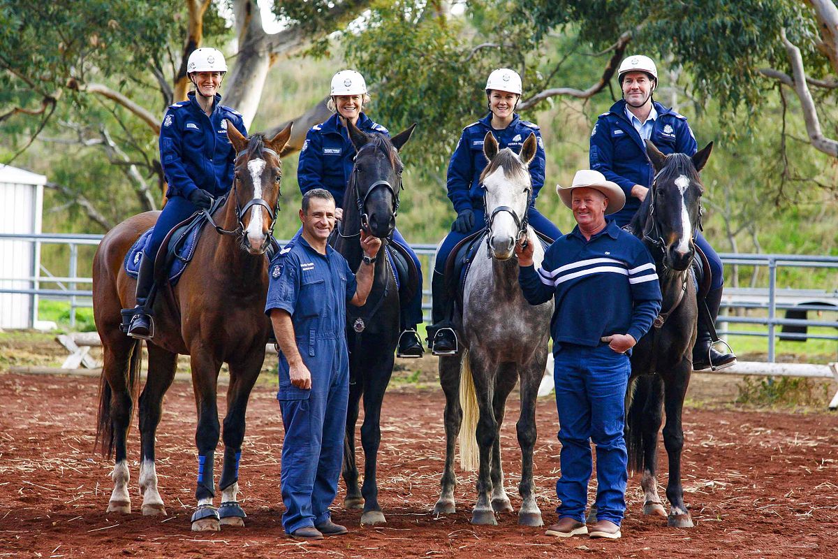 Photographs of police in horses at the Victoria Police Mounted Division's training farm for Victoria Police's magazine 'Police Life'