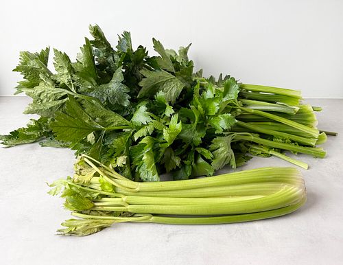 Store-bought vs. homegrown broccoli
