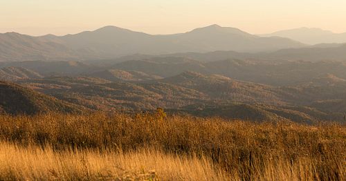 "Pond Mountain"