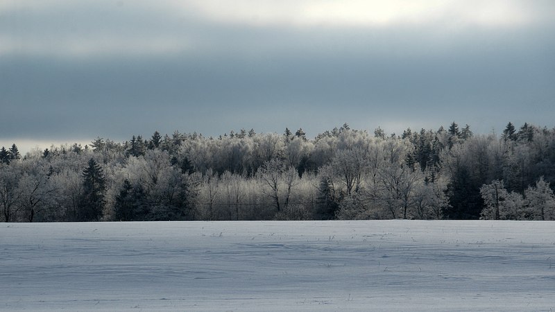 Väike meenutav hetk, kui oli veel karge talv.