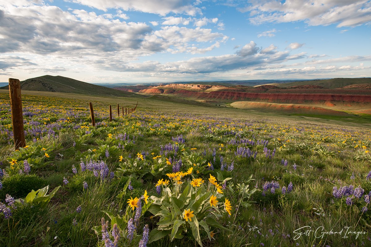 Red Canyon Postcard
