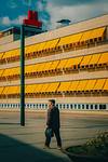 Dreamy Film Lightroom Preset – Soft & Sunny Aesthetic for a Retro Look