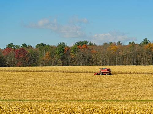 Fall Farm
