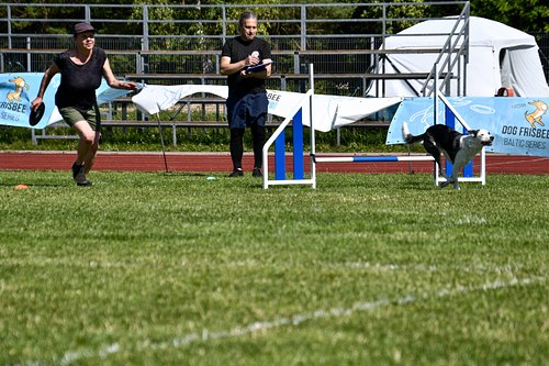 koerte frisbi voistlus 2026