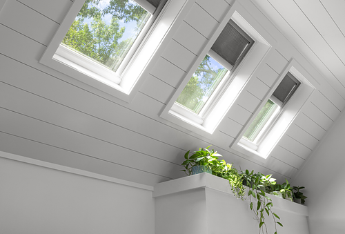 Experience the Impact of Skylight Systems
