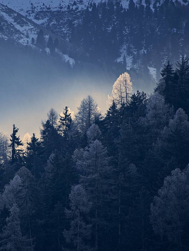 Landscape details