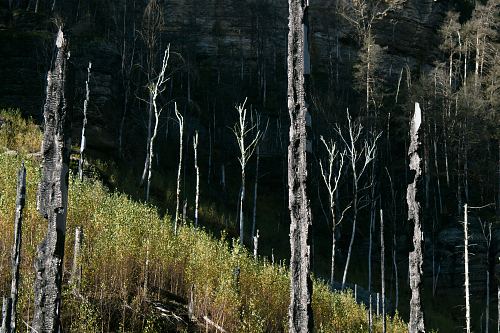 After the Fire