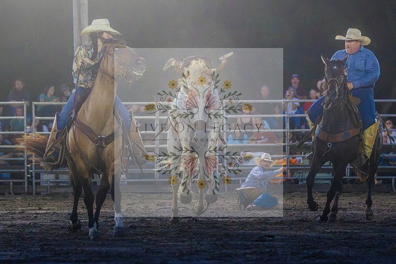 Broncs