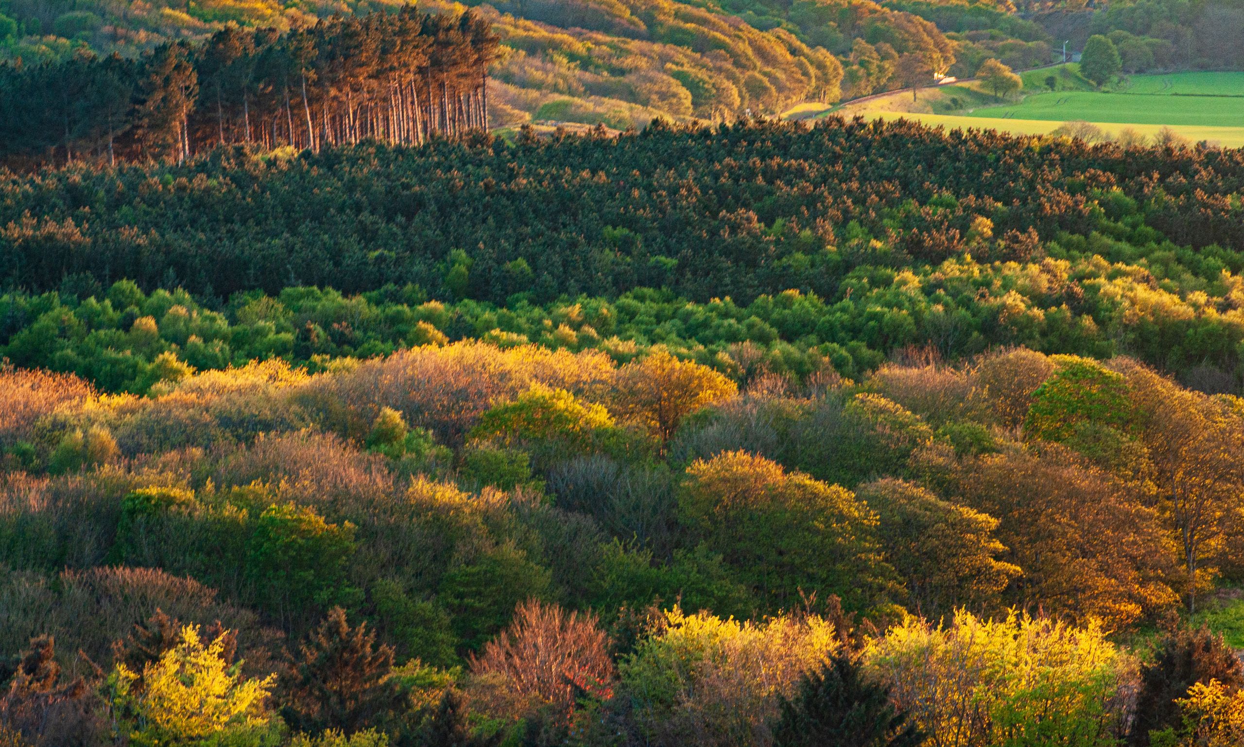 Landscapes