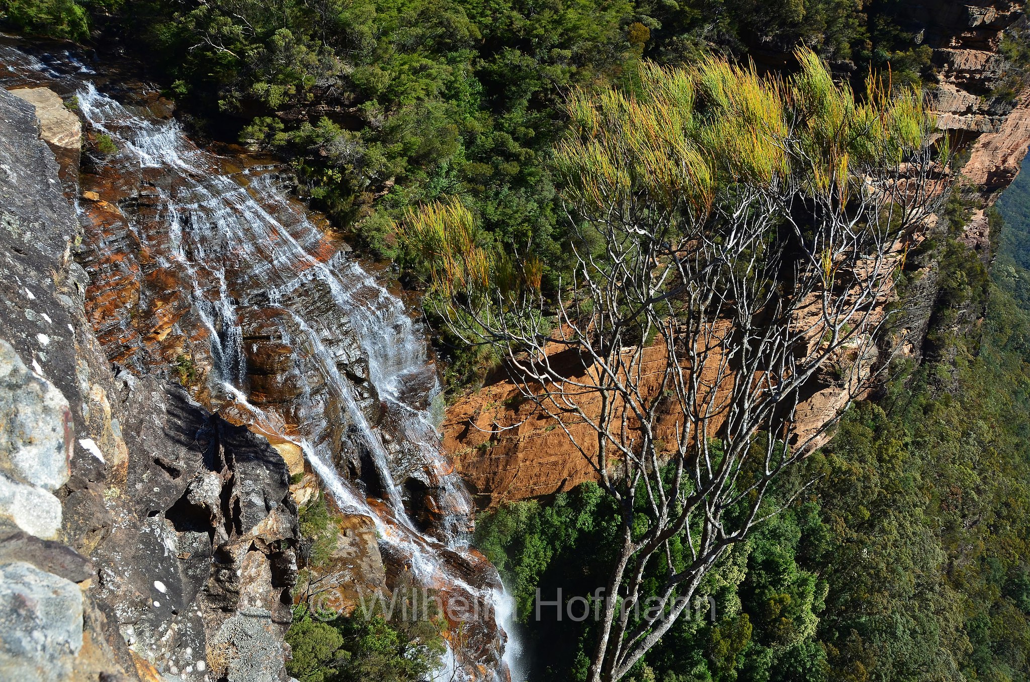 Upper Wentworth Falls, Blue Mountains, Blue Mountains National Park, Blue-Mountains-Nationalpark, New South Wales, Nuovo Galles del Sud, Australia, Australien