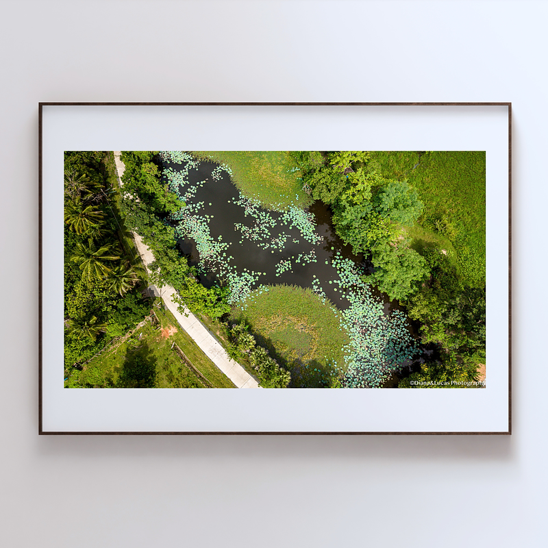 THE ONE - AERIAL PRINTS - "The Curve" - LIMITED EDITION 5 of 5