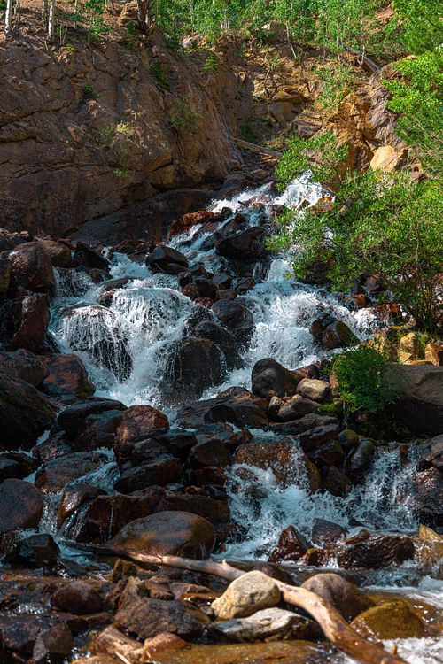 Forest Stream