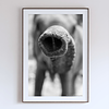 COLLECTION - GIANTS OF THE LAND VERTICAL - "The Tip" - LIMITED EDITION 10 of 10