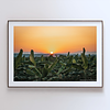 COLLECTION - GIANTS OF THE LAND HORIZONTAL - "The Last Minute" - LIMITED EDITION 10 of 10