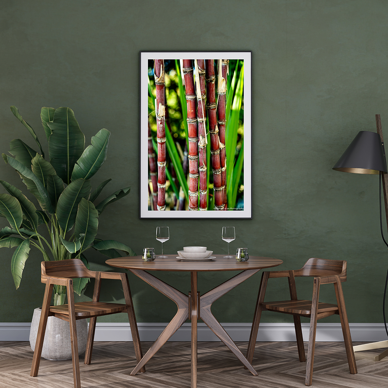 THE ONE - WILDLIFE & NATURE - "Between the Joints" - LIMITED EDITION 5 of 5