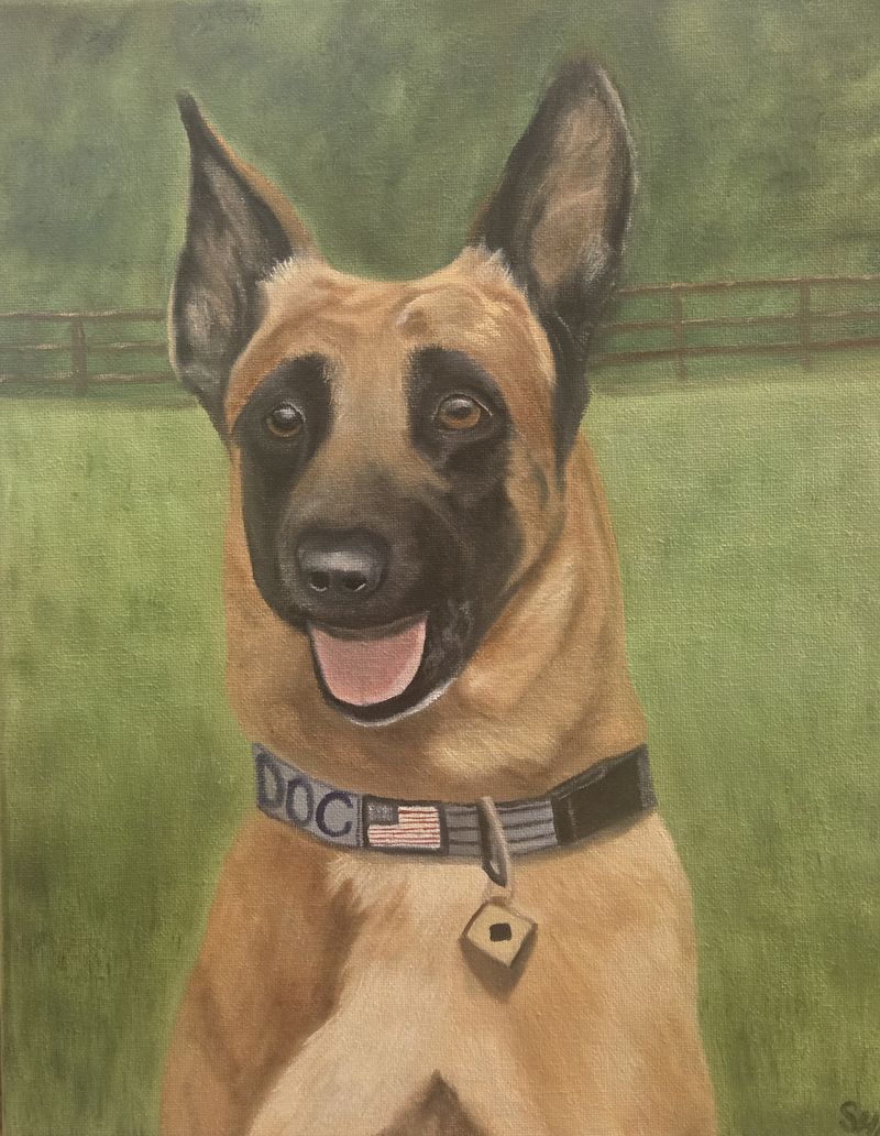 PET PORTRAITS