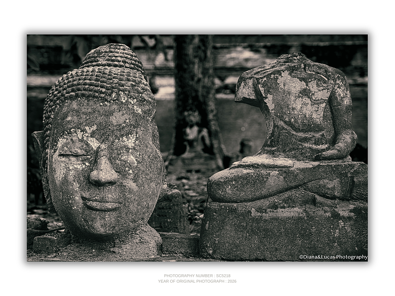 THE ONE - QUIET ICONS - "Still Meditation" - LIMITED EDITION 5 of 5