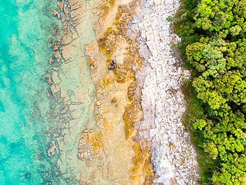 Biodiversity of Istria, Croatia, 2026 (german language)
