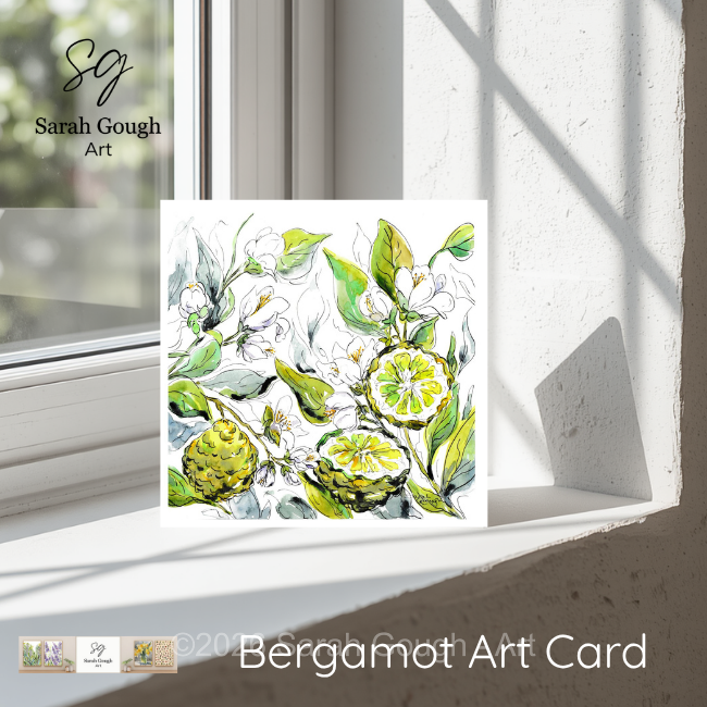 Bergamot Fruit and Flowers | Botanical Illustration | Floral Art Card | with Envelope