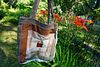 Log Cabin Artist Bag
