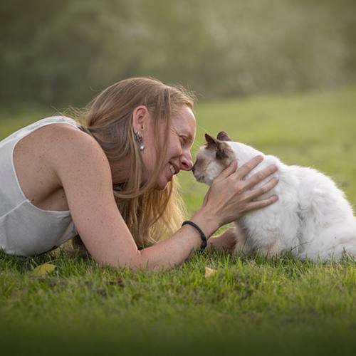 Eindelijk die perfecte foto van jouw kat of kitten!
