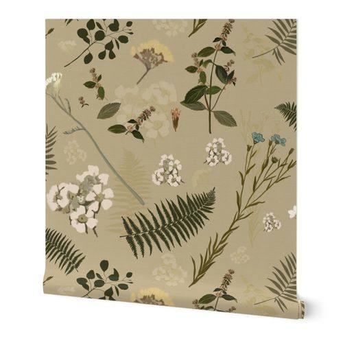 Vintage Botanical Herbarium Wildflower & Fern - Soft Shadows for Texture