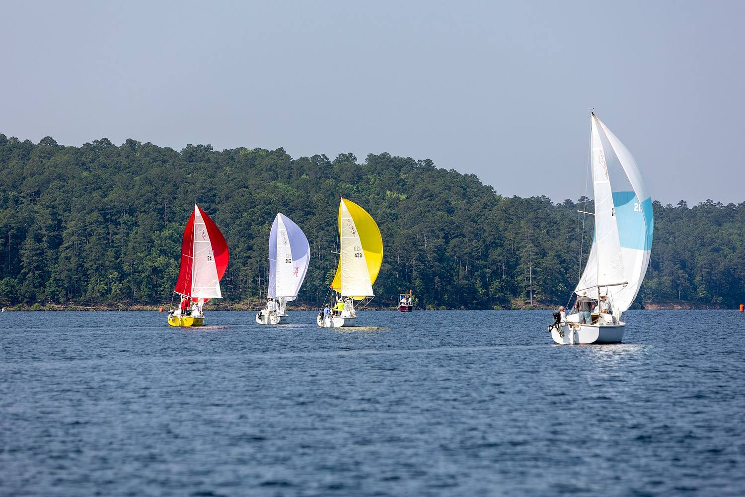 four sailboats on a lake sailing downwind