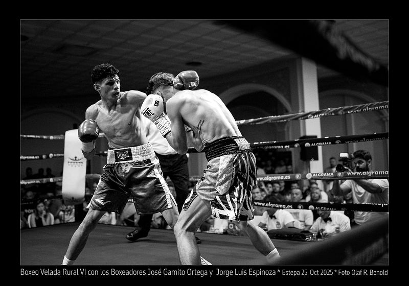 Vive Ama Boxeo