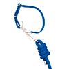 SwiftRelease™ Agility Lead + Collar - Buzzworthy Blue