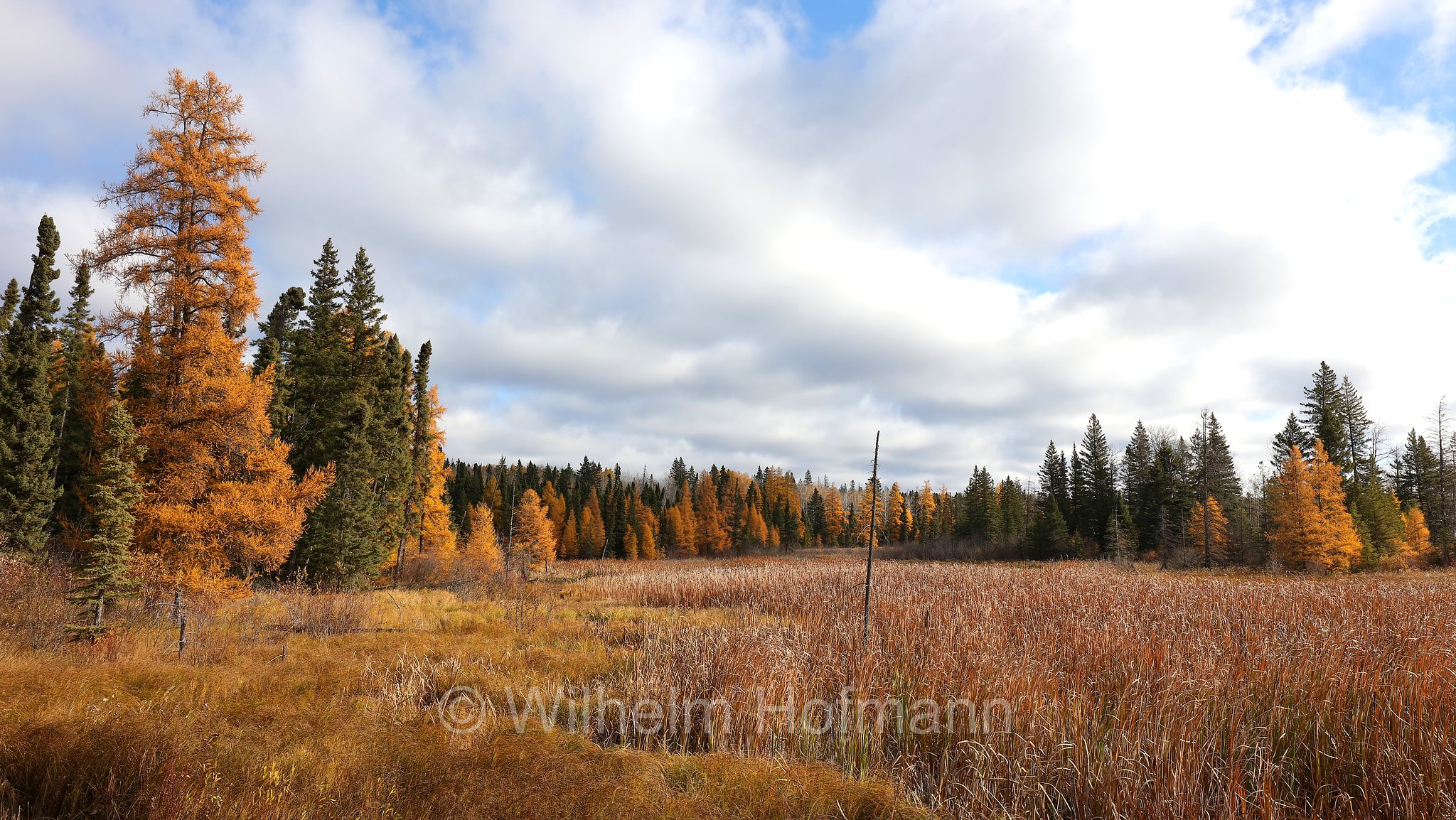 Autumn Landscape, Riding Mountain National Park, Riding-Mountain-Nationalpark, Parco nazionale di Riding Mountain, Manitoba, Canada, Kanada
