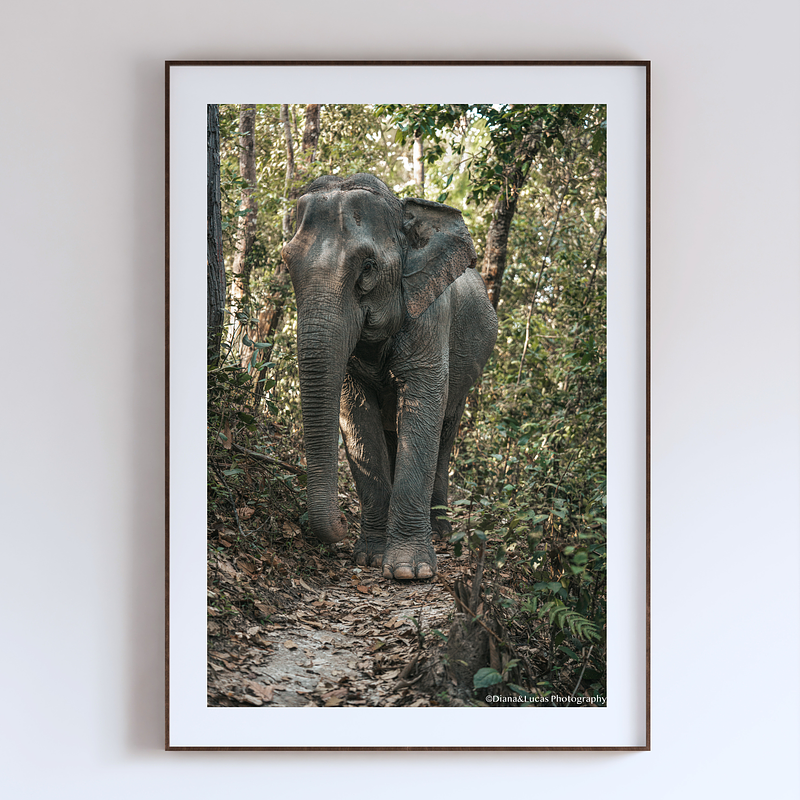 COLLECTION - GIANTS OF THE LAND VERTICAL - "One Step" - LIMITED EDITION 10 of 10