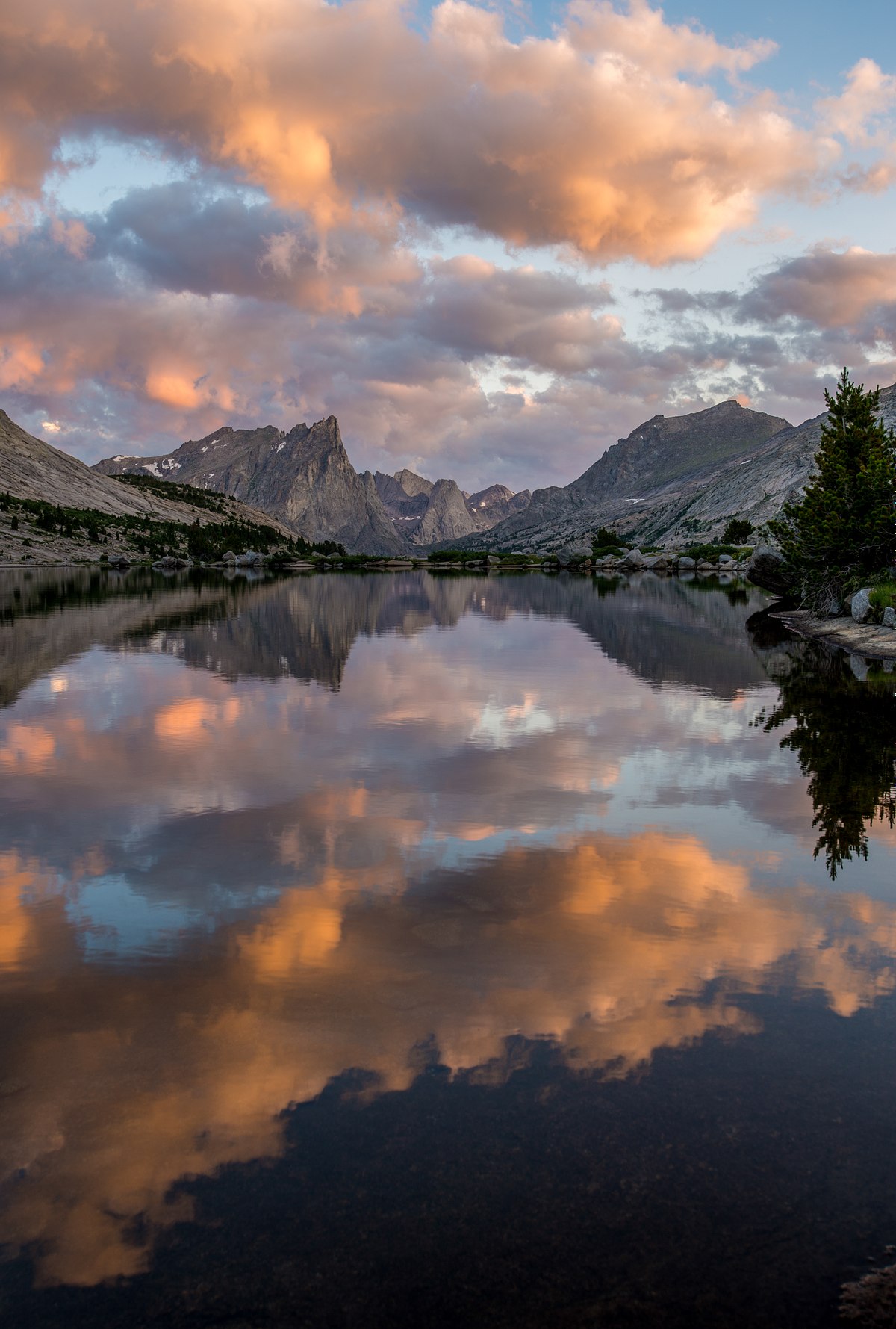 Deep Reflection