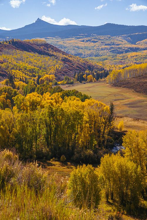 Fall Splendor