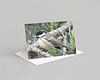Bird Card Pack
